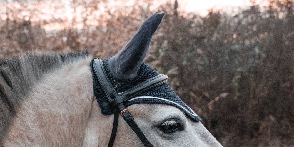 Fly Bonnets: What Are They & Why Should I Use One? – Insider Horse – Latest  & Greatest Horse New Publication