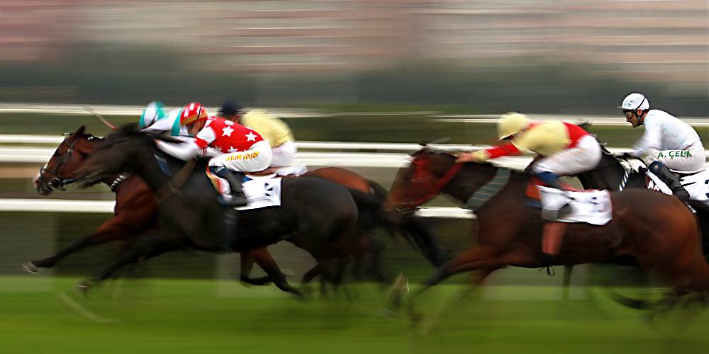 Blurry Race Horses 
