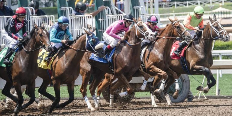 What Is the Triple Crown? Races, Winners, & History – Insider Horse ...