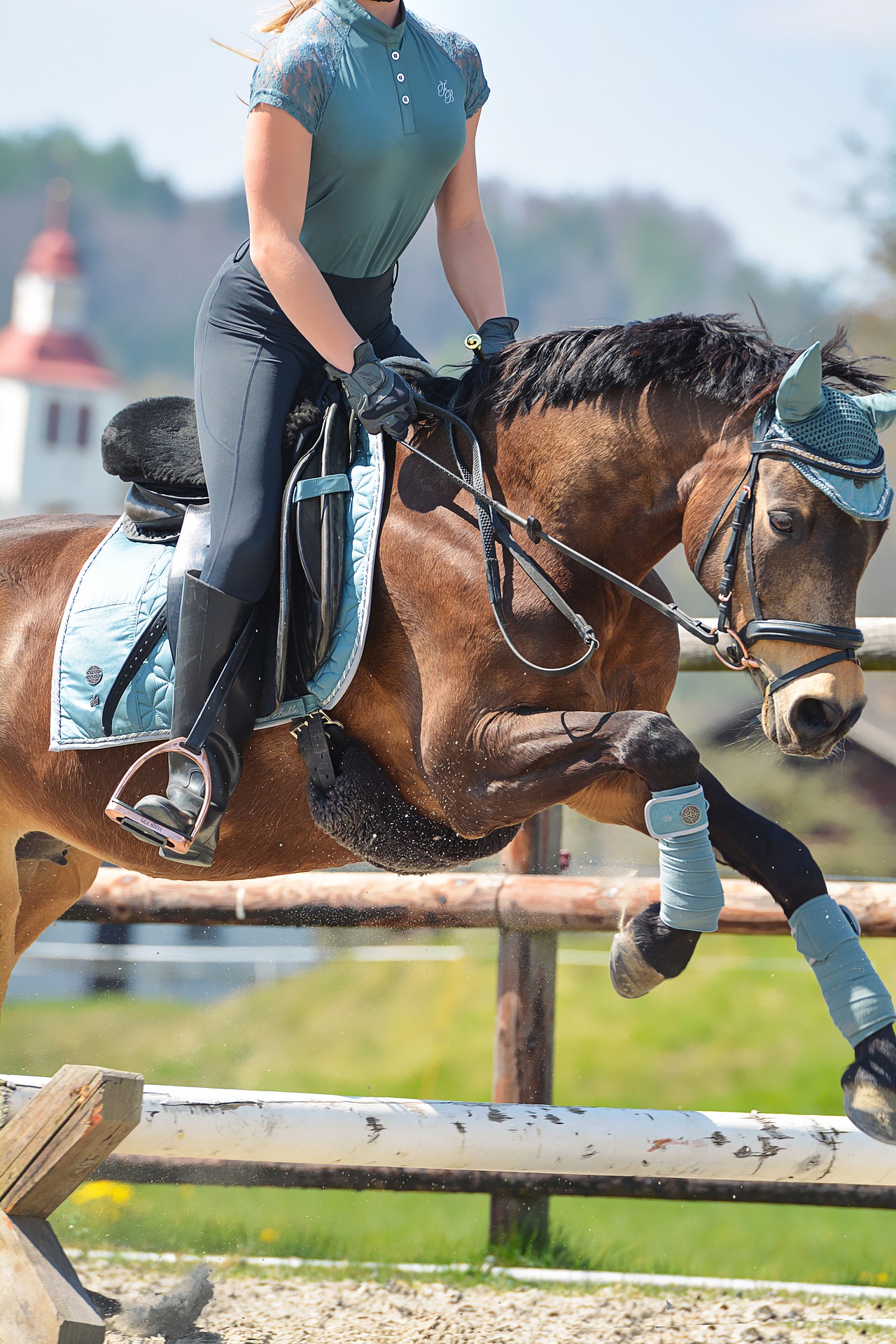 10 Colors That Will Look Best On Your Bay Horse Insider Horse