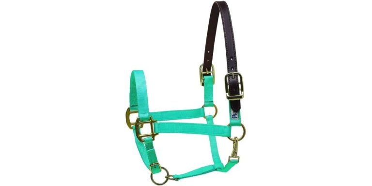 pony breakaway halter